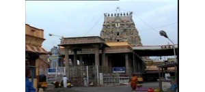 60. திருவல்லிக்கேணி (சென்னை)